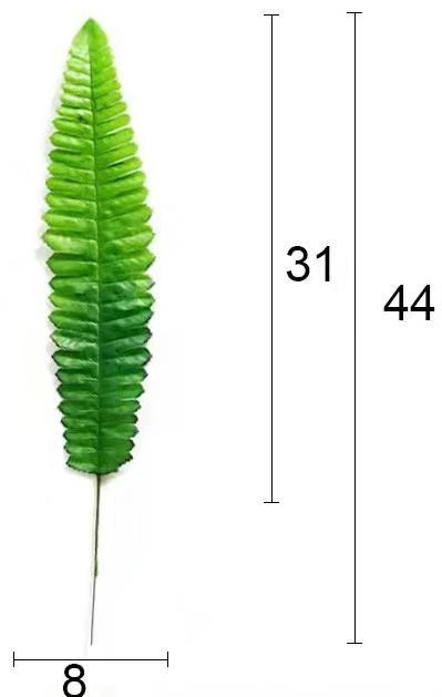 Palm Leaf 7x30cm